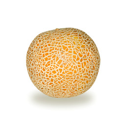melon isolated on white background