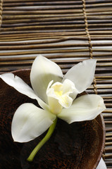 bowl of orchid on bamboo mat