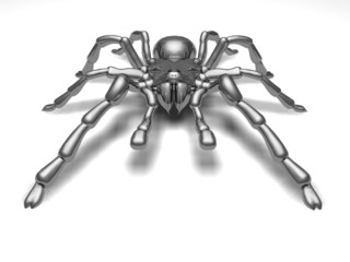 Spider