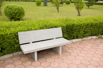 bench