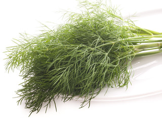 Dill auf weißem Teller