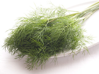 Ein Bund Dill auf weißem Teller