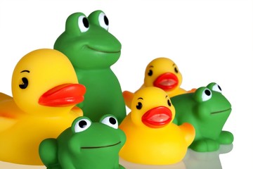Duckies and Froggies (Closeup)