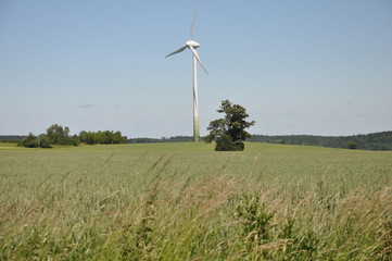 Windkraftwerk in der Nähe von Hirschfelde