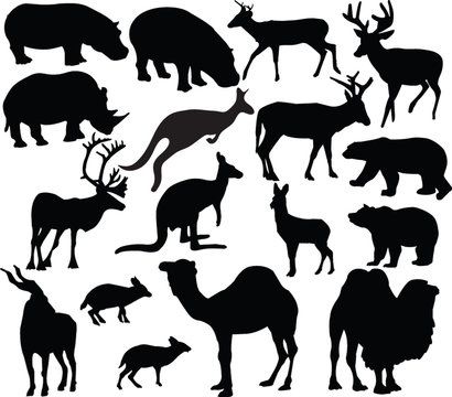 wild animals silhouette - vector