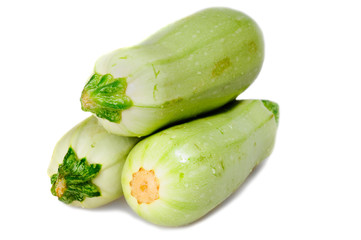 marrow