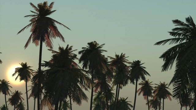 sunrise