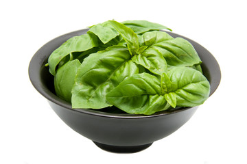 Bowl with basil isolated on white background