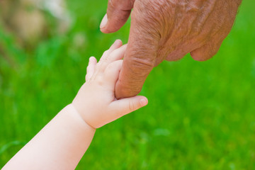 grandad's and baby's hands outdoors