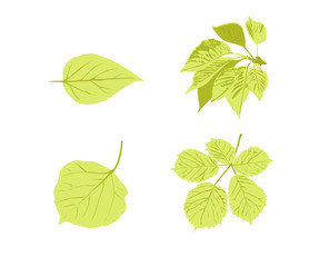 Isolated leaves