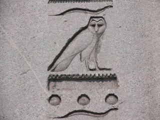Ancient Egyptian Hieroglyph - Owl