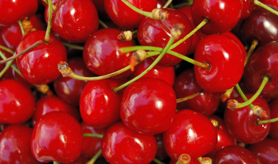Closeup shot of red cherries