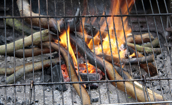 Feu de barbecue
