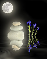 Obraz na płótnie Canvas Zen Garden W Pełni Księżyca