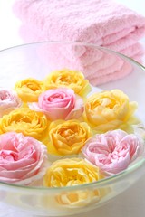 wellness rosen frotteehandtuch