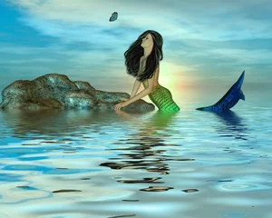 Poster Im Rahmen Meerjungfrau auf Felsen © Kathy Gold