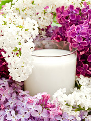 lilac flower and milk