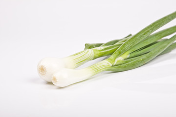 spring onion