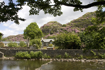 Views of Beddgelert