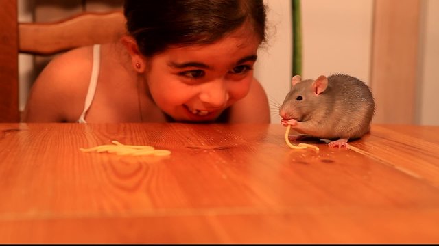 le rat et l'enfant