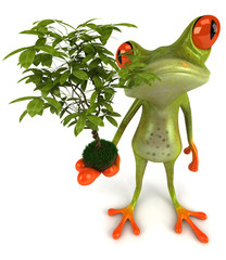 Grenouille avec une plante