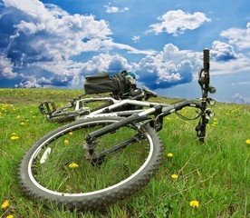 Fototapeta na wymiar rower w dziedzinach