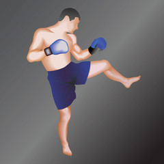 Taekwondo fighter.Vector illustration