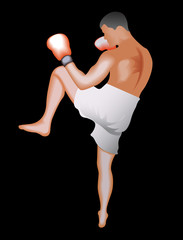 Taekwondo fighter.Vector illustration