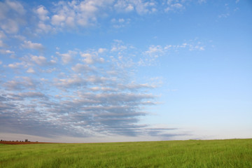 Fototapeta na wymiar Field panorama