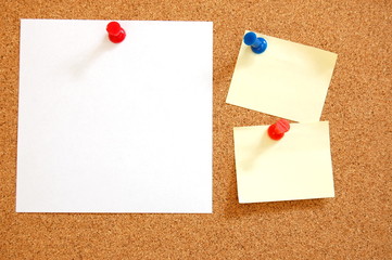 blank sheet paper on bulletin board