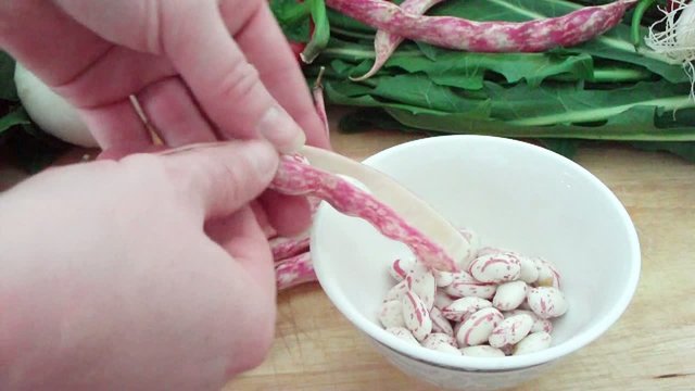 Frische Bohnen