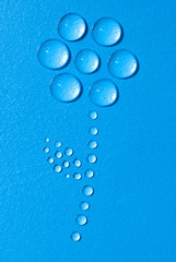 flower made of water drops