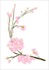 Dekoratives Kirschblüten Ornament