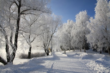 Cold day
