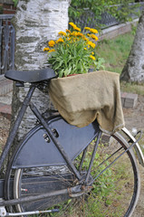 Fototapeta na wymiar Fahrrad mit Blumenschmuck
