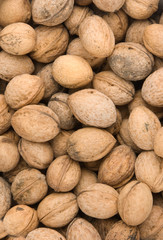 background of walnuts