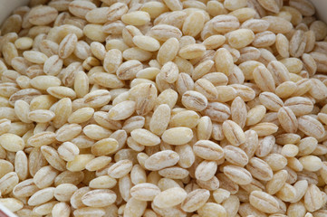 Orzo - Hordeum vulgare