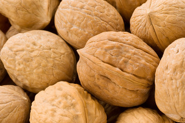 Background of walnuts