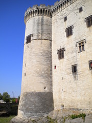 Fototapeta na wymiar le chateau de Tarascon
