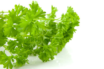 Parsley isolated on white background