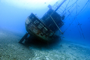 Naklejka premium Shgipwreck Our Confidence, Bonaire