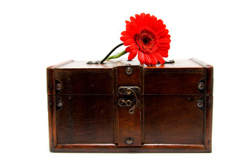 Wooden box with gerber  isolated on white background