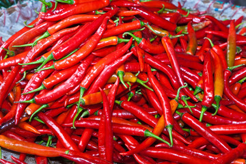 Chilli Schoten auf dem Blumenmarkt, Bangkok