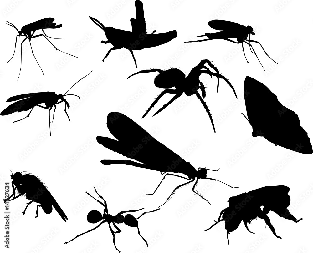 Wall mural ten insect silhouettes