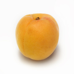 apricot