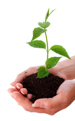 Taking care of new development or the environment