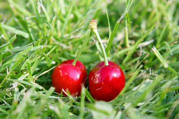 Kirschen,makro