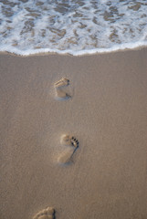 Fototapeta na wymiar Footprints leading to the sea