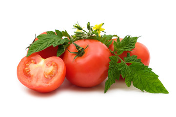 bio fresh tomatoes on white background
