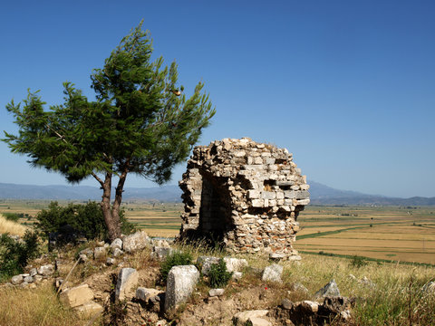 ruines de priene